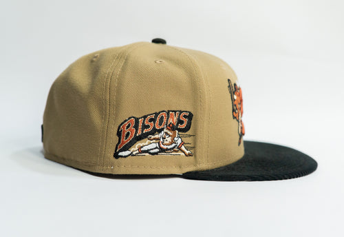 bisons