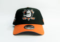 anaheim ducks