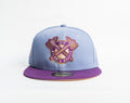 Atlanta Braves
